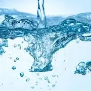 lipo-gummies-ingredient2